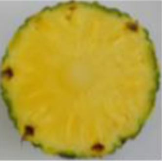 Piñas Santa Fe
